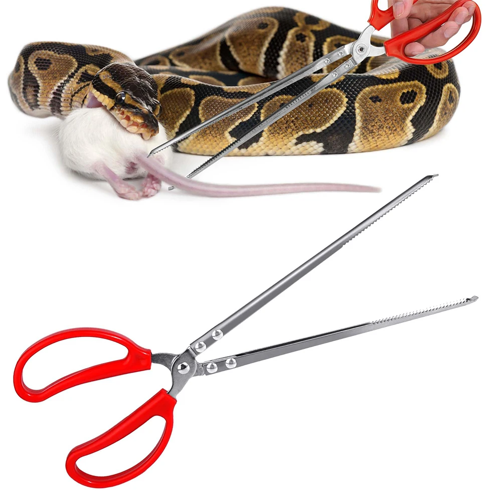 Water Dish Reptile - Snake Feeding Tongs Reptile Feeding Tongs