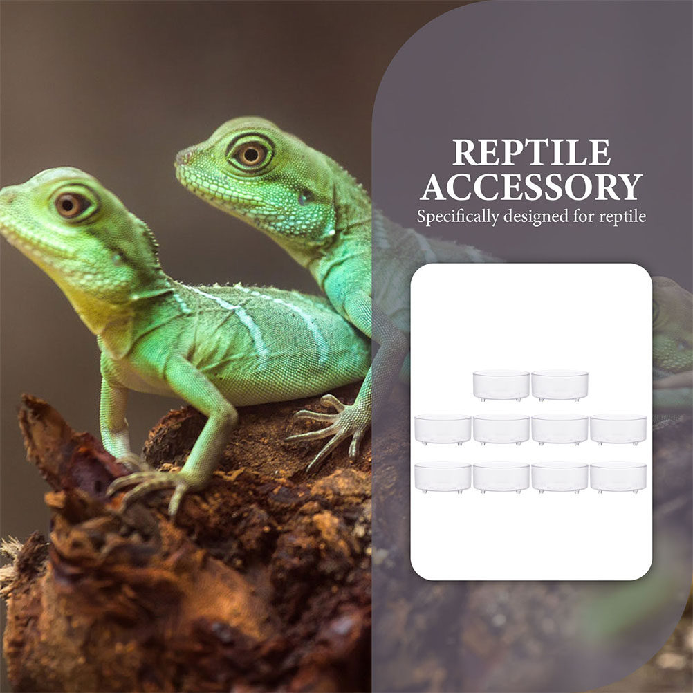 10Pcs Acrylic Reptile Food Dis - Water Dish Reptile recension och pris