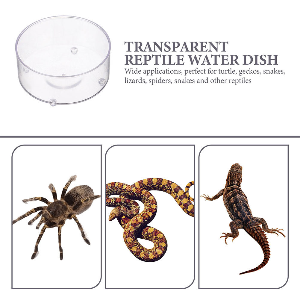 10Pcs Acrylic Reptile Food Dis - Water Dish Reptile recension och pris
