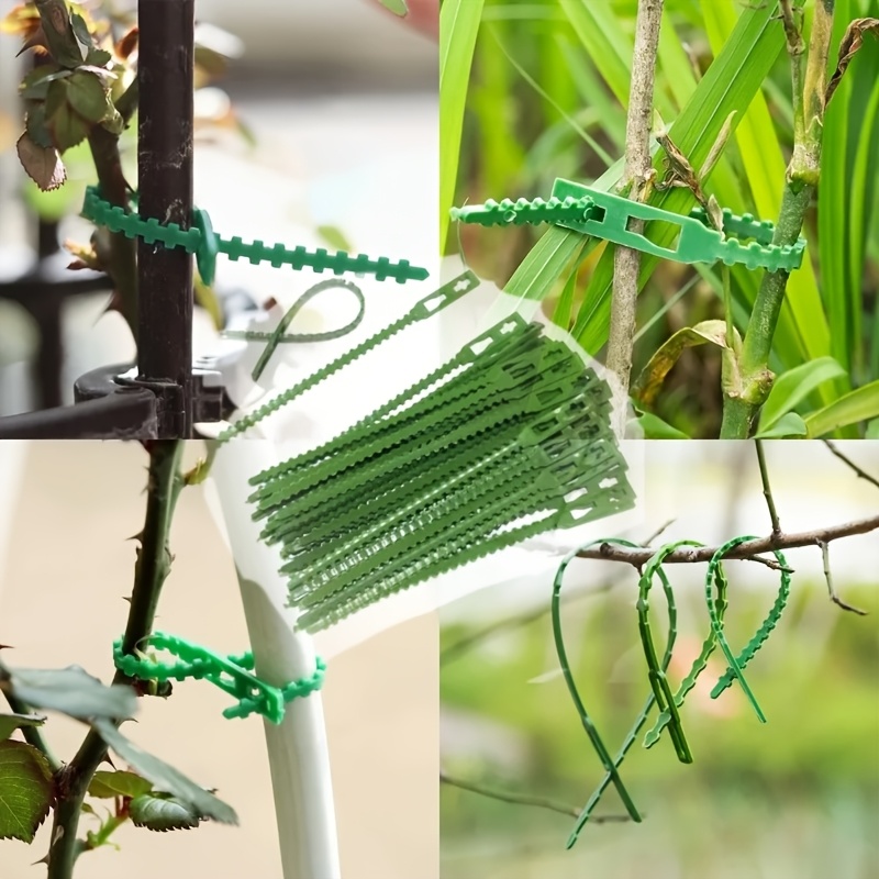100PCS reusable adjustable pla - Vine Climbing Plastic recension och pris