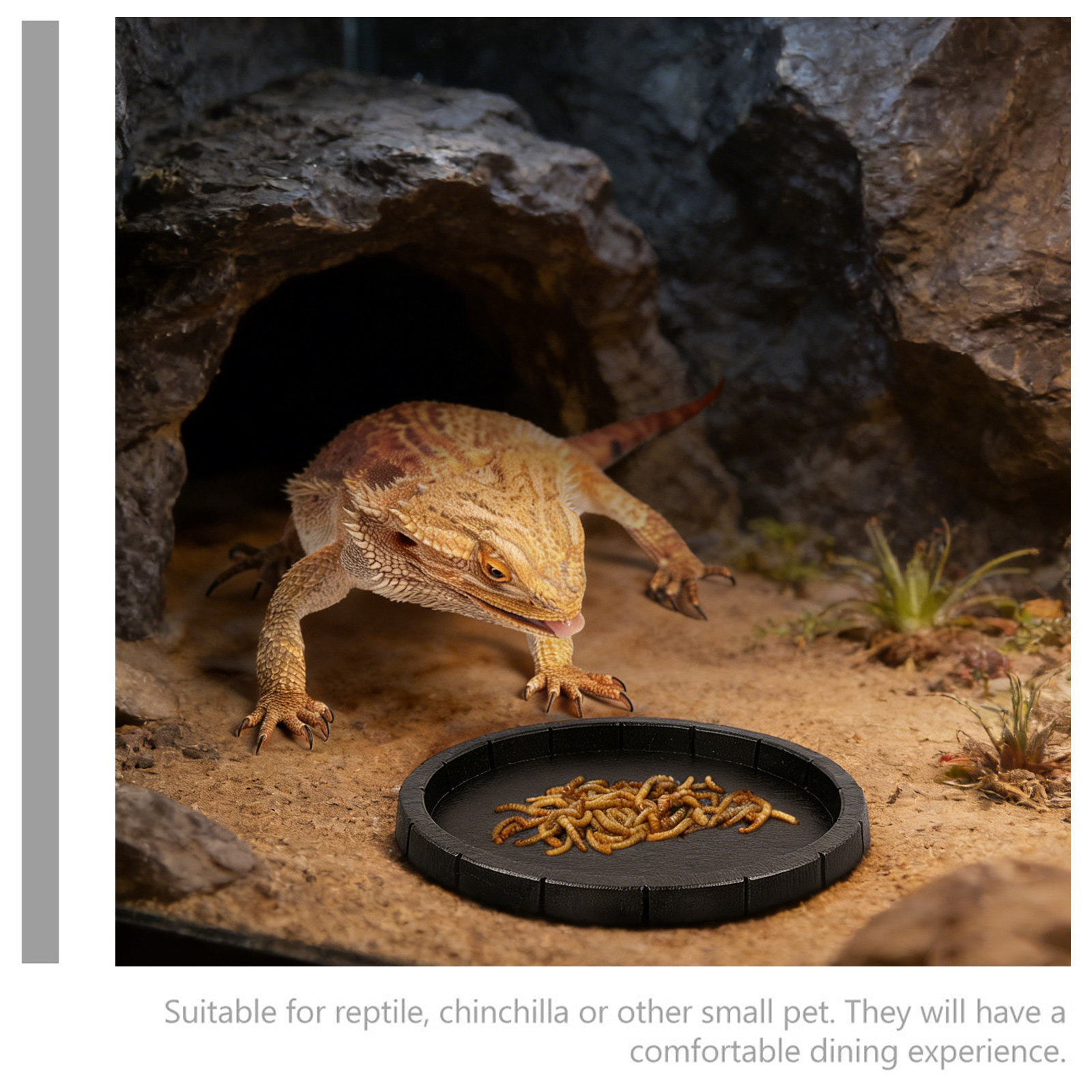 Reptile Feeding Bowl Compact L - Water Dish Reptile recension och pris