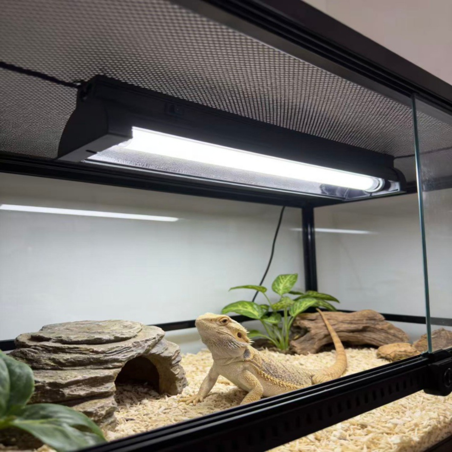 T5 UVB Reptile Light Fixture K - Calcium Powder Reptile recension och pris