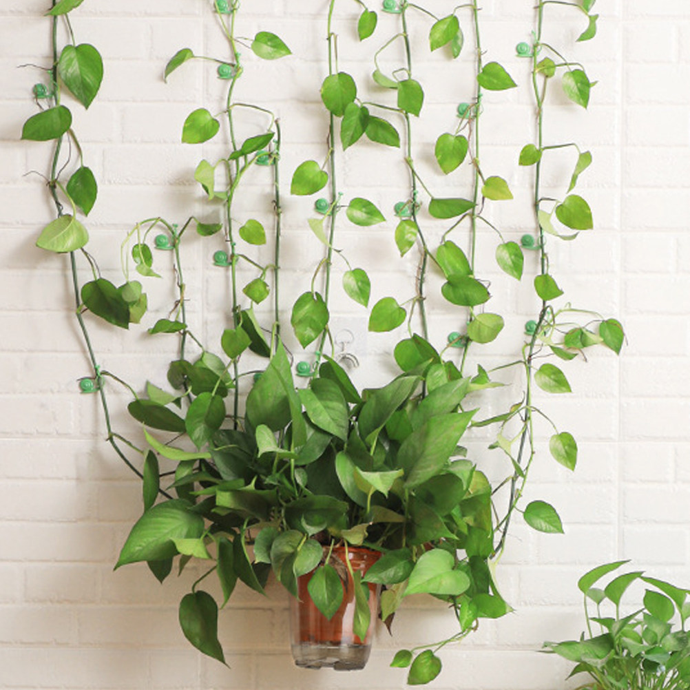20Pcs Plant Climbing Wall Clip - Vine Climbing Plastic recension och pris