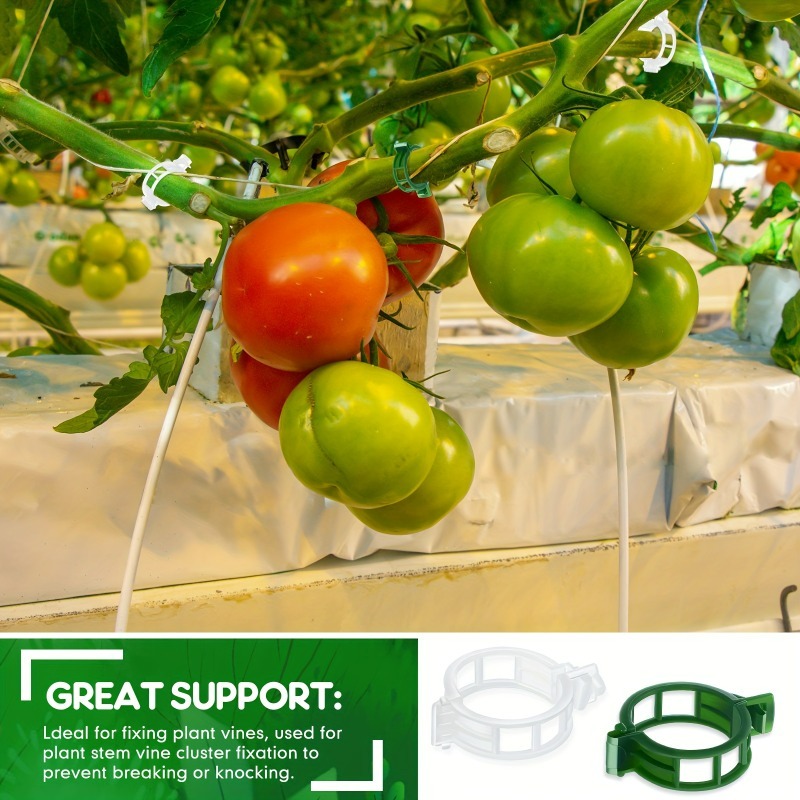 10-500Pcs Garden Plant Support - Vine Climbing Plastic recension och pris