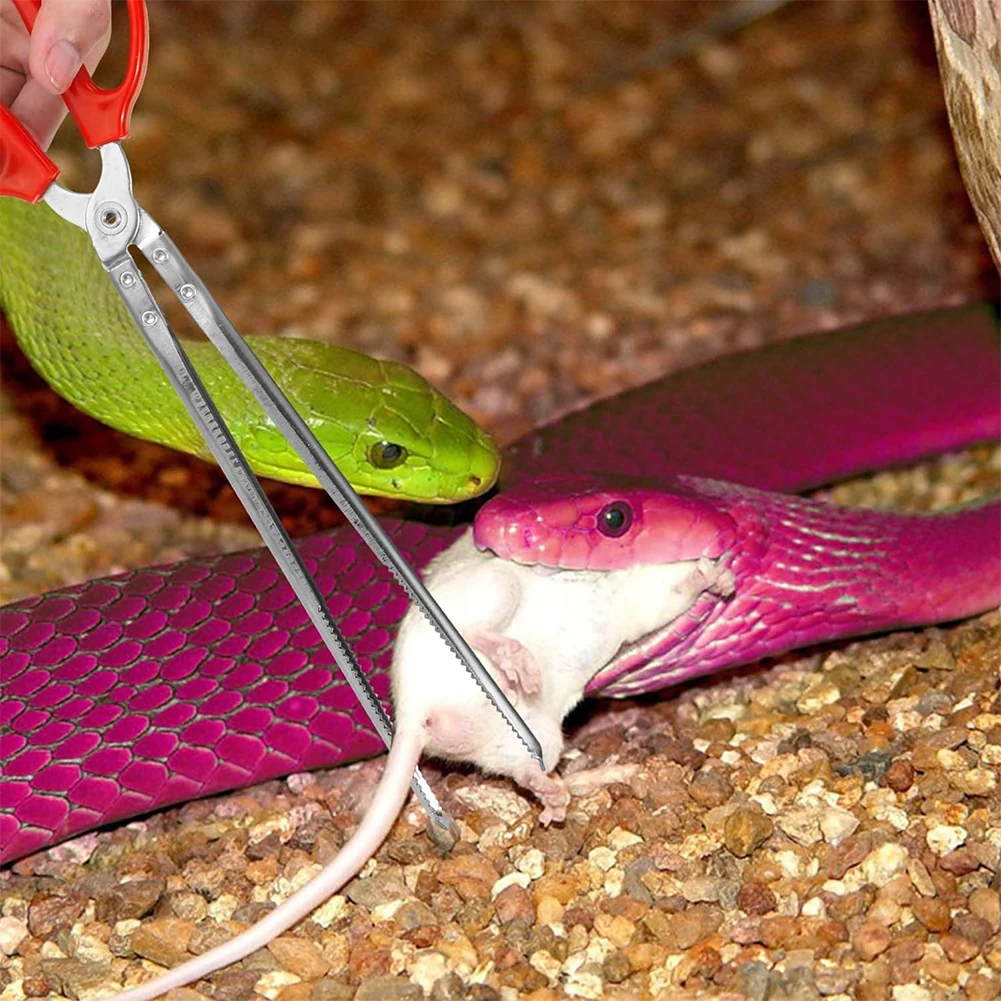 Snake Feeding Tongs Reptile Fe - Water Dish Reptile recension och pris