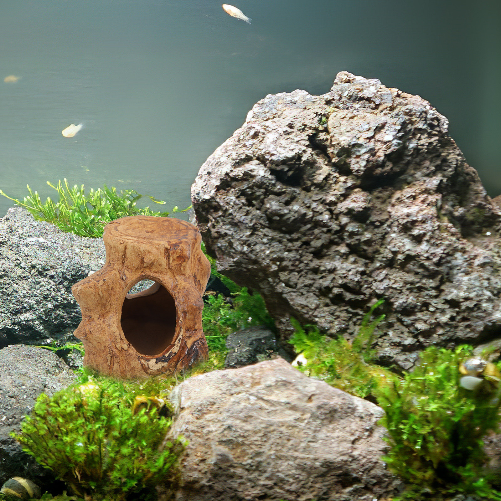 Pleco Caves for Aquarium Fish  - Hide Cave Ceramic recension och pris
