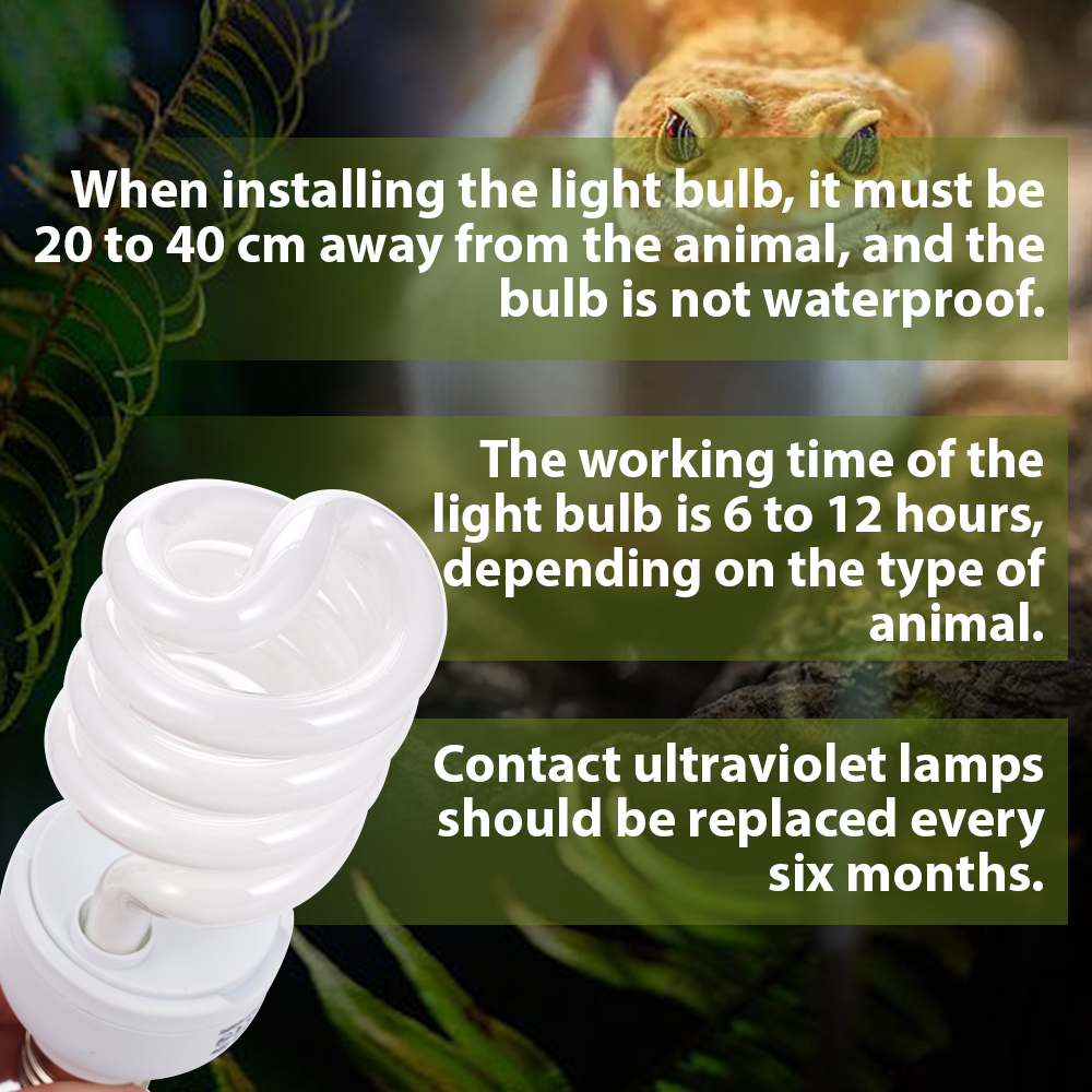 26W Pet Box Lamp Calcium Suppl - Calcium Powder Reptile recension och pris