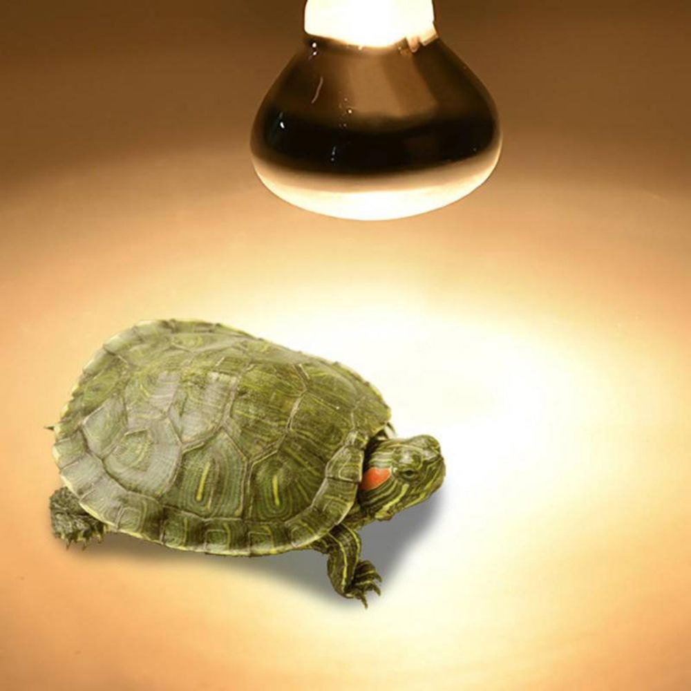 Amphibians Temperature Control - Basking Bulb Halogen recension och pris