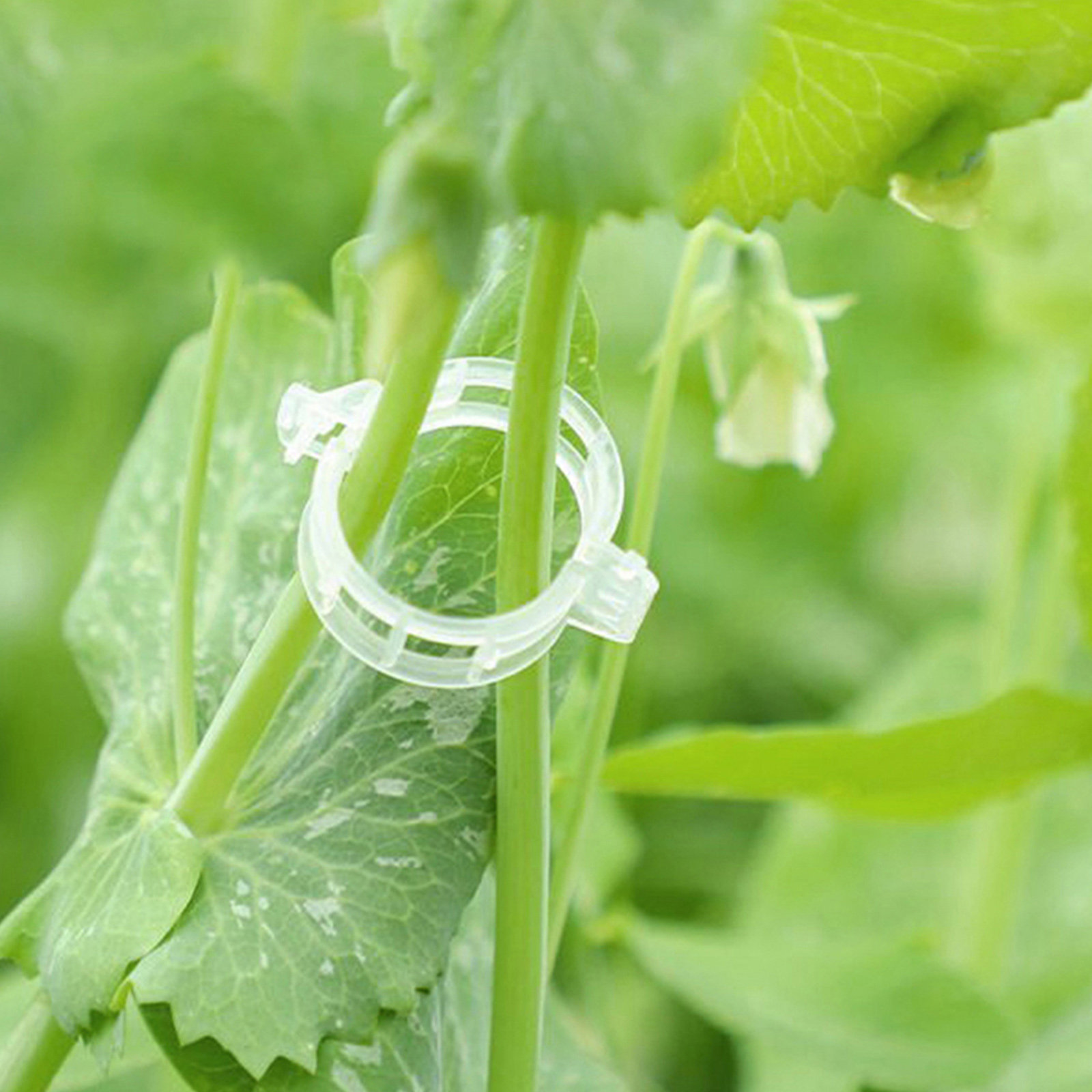 400Pcs Tomato Clips Plastic Ve - Vine Climbing Plastic recension och pris