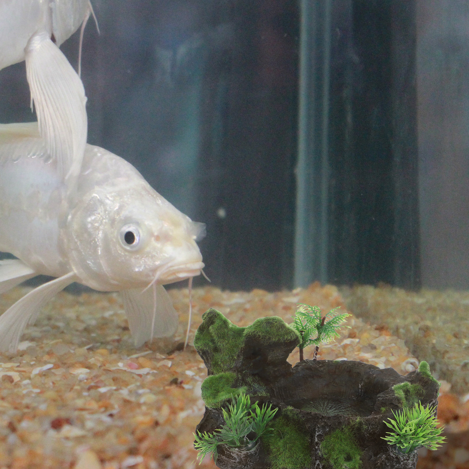 Realistic Stone Design Reptile - Water Dish Reptile recension och pris