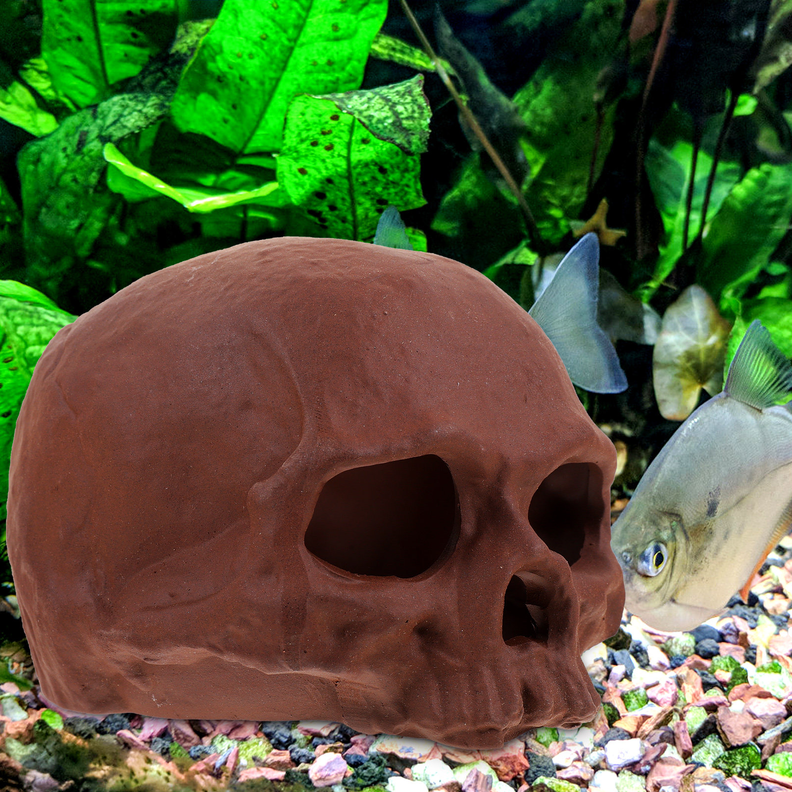 Ceramic Fish Tank Decoration S - Hide Cave Ceramic recension och pris