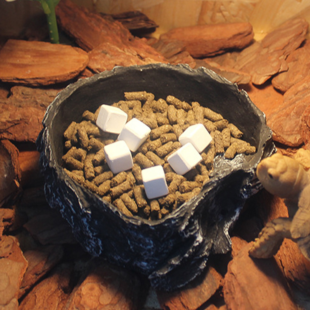 6Pcs Tortoise Tank Calcium Cub - Calcium Powder Reptile recension och pris