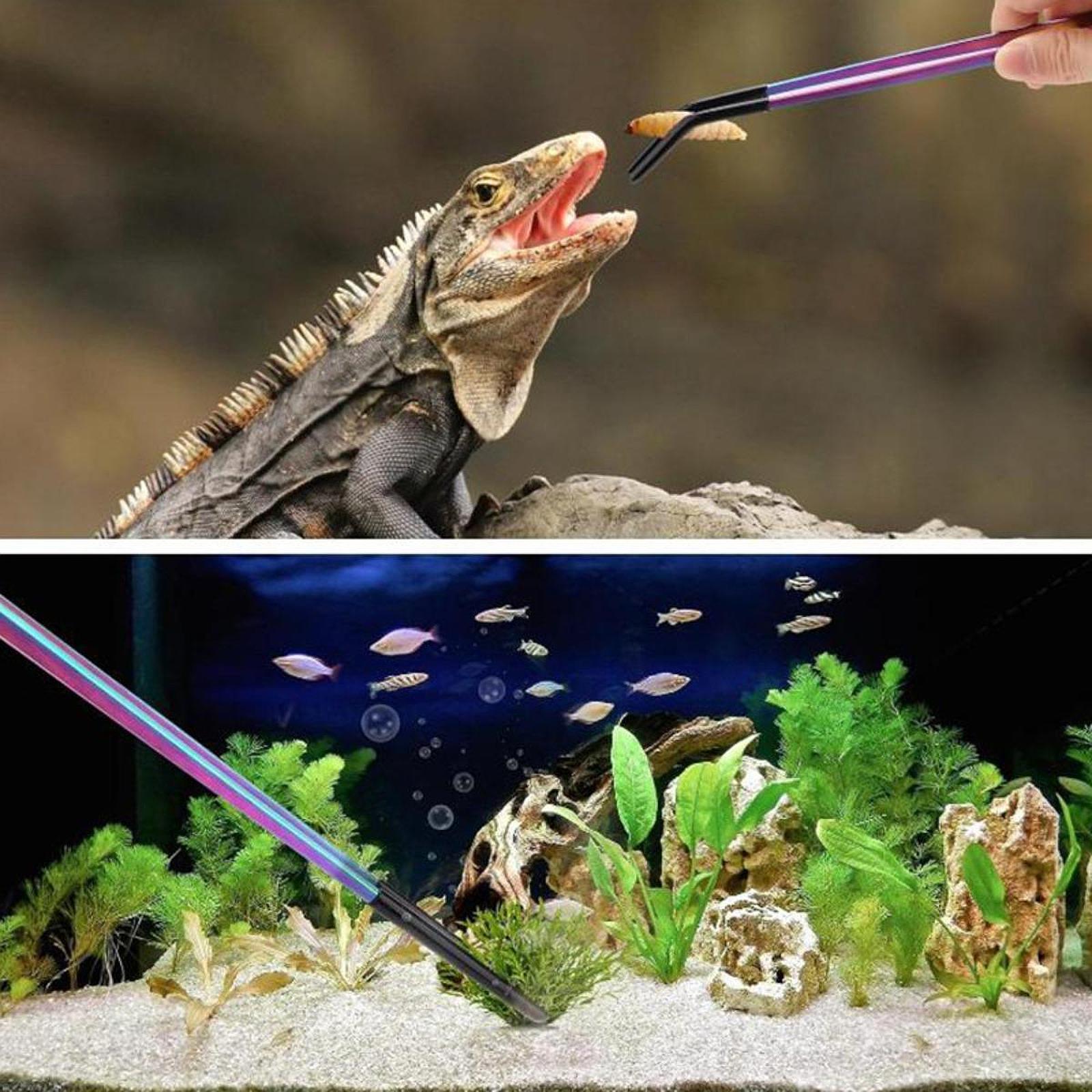 Reptile Feeder Tongs Soft Sili - Feeding Tong Stainless recension och pris