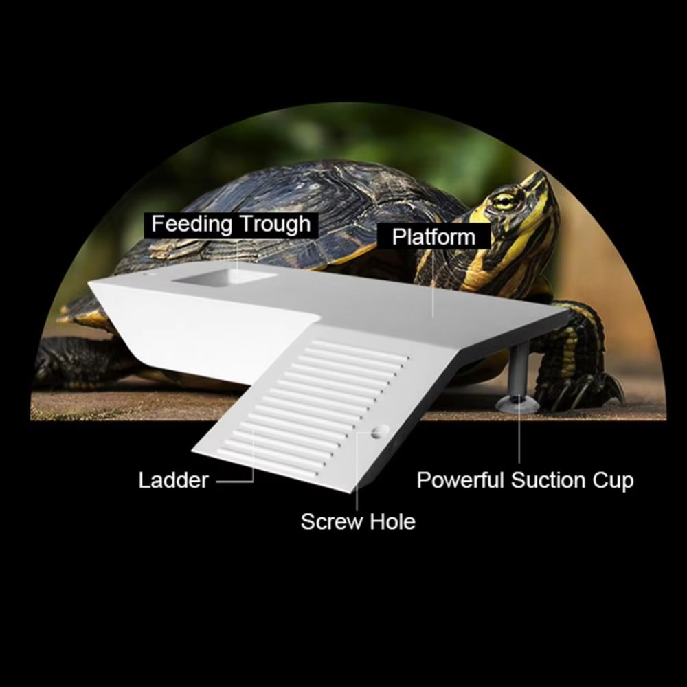 Water Land Slope Box Feeding C - Water Dish Reptile recension och pris