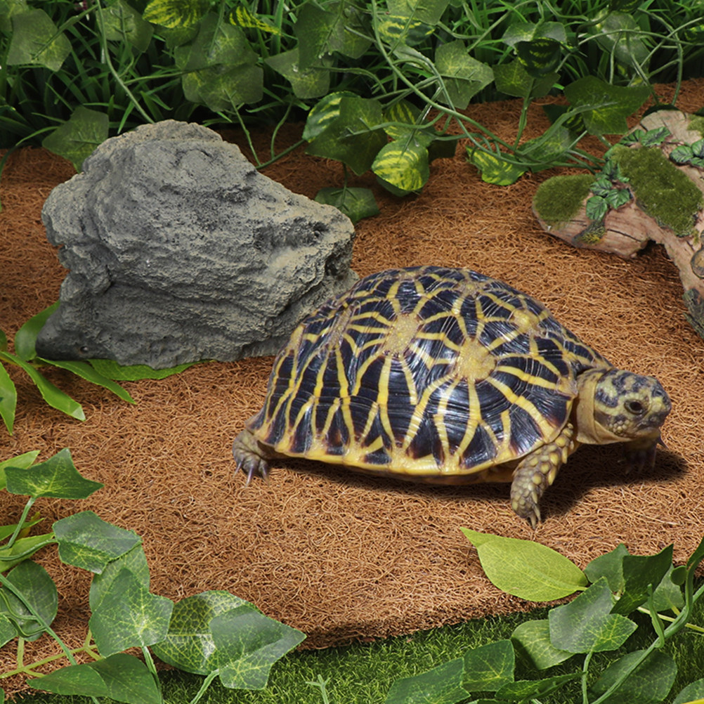 Natural Coconut Fiber Reptile  - Substrate Coconut Fiber recension och pris