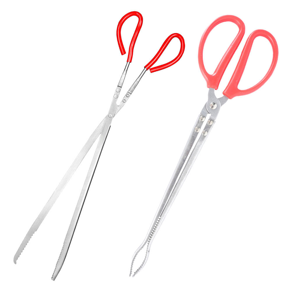 2Pcs Stainless Steel Snake Ton - Feeding Tong Stainless recension och pris