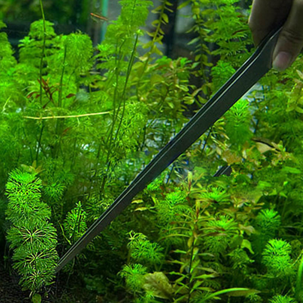 10.5 Inch Reptile Feeding Tong - Feeding Tong Stainless recension och pris